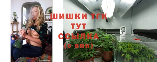 сатива Липки