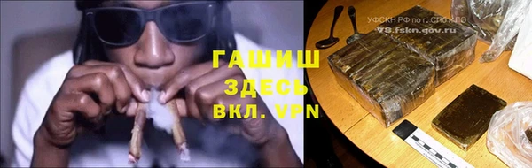 гидра Мегион