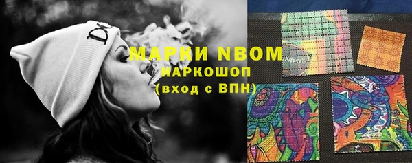 сатива Липки