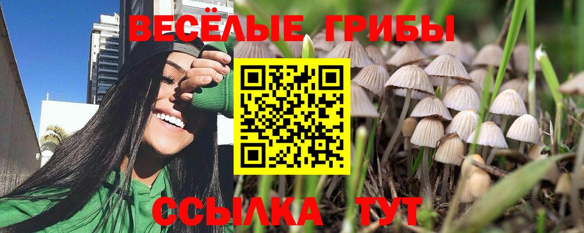 Псилоцибиновые грибы ЛСД Новоалтайск