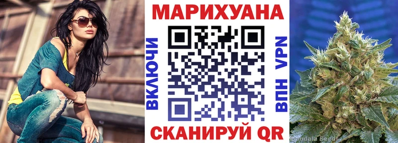Бошки Шишки White Widow  гидра зеркало  Новоалтайск  продажа наркотиков 