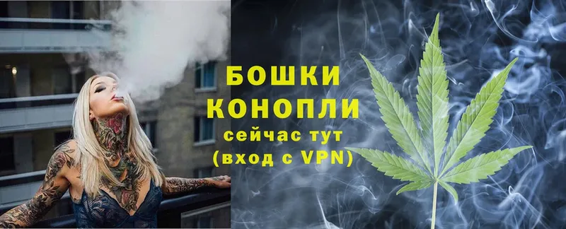 цены наркотик  Новоалтайск  Конопля OG Kush 